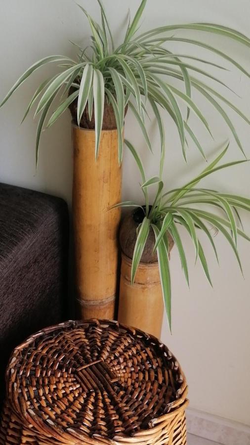 Appartement Al Golpito à Las Palmas de Gran Canaria Extérieur photo